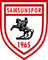 teamLogo