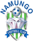 teamLogo